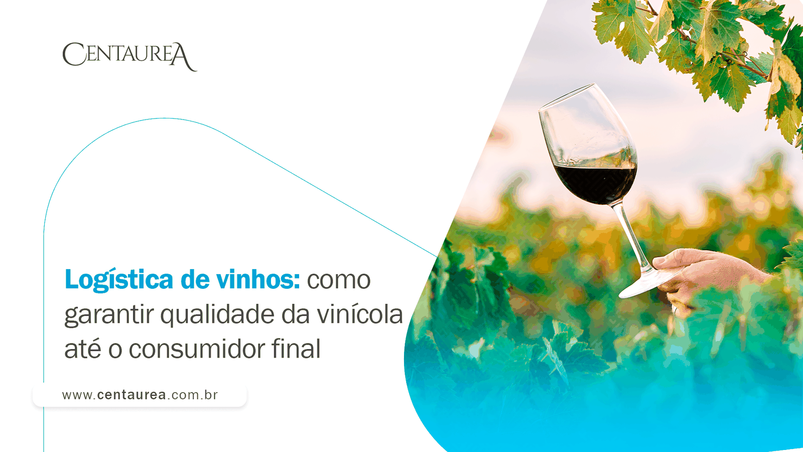 Logística de vinhos: como garantir qualidade da vinícola até o consumidor final
