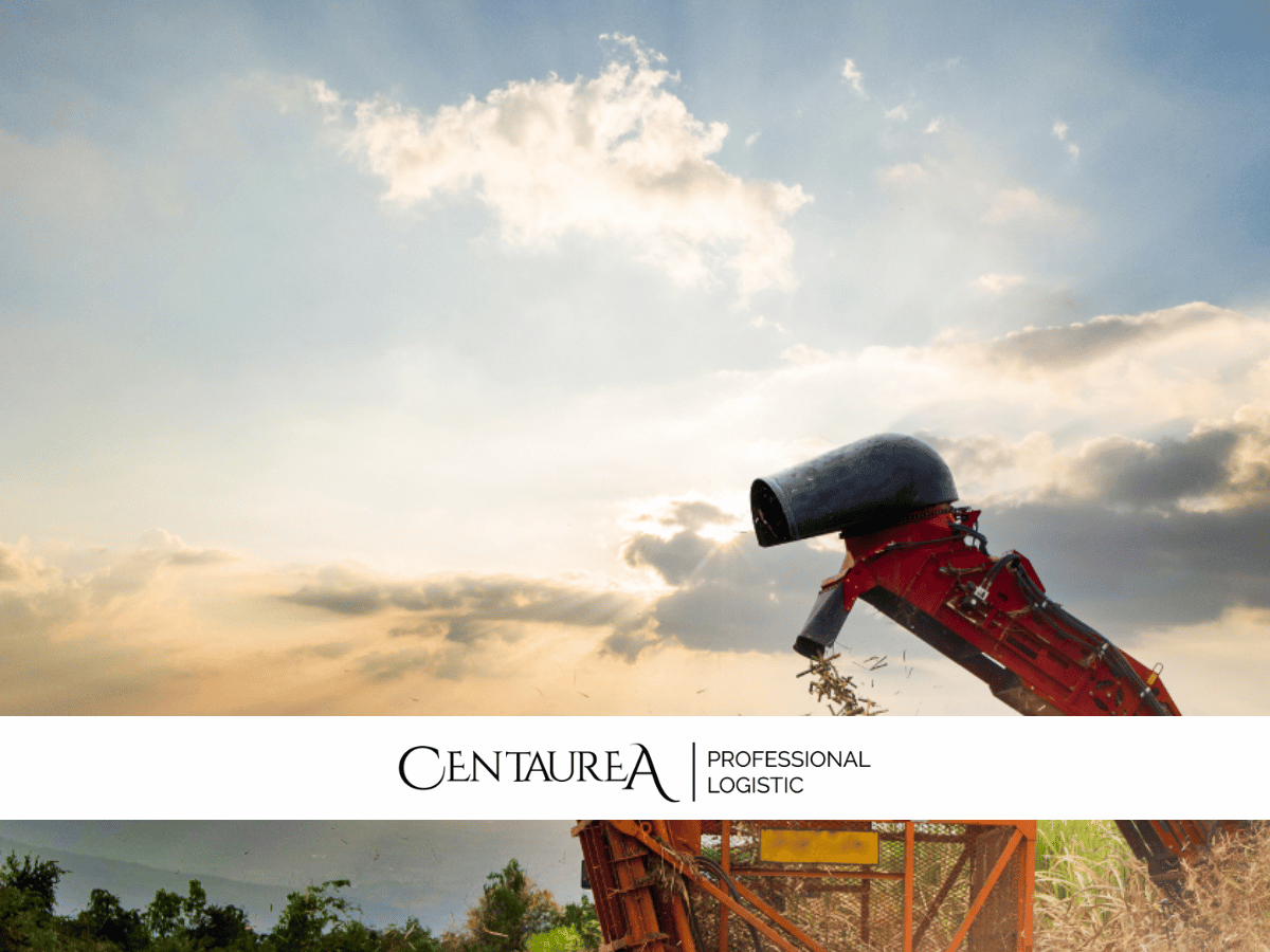Como a queda do dólar impacta o agronegócio?
